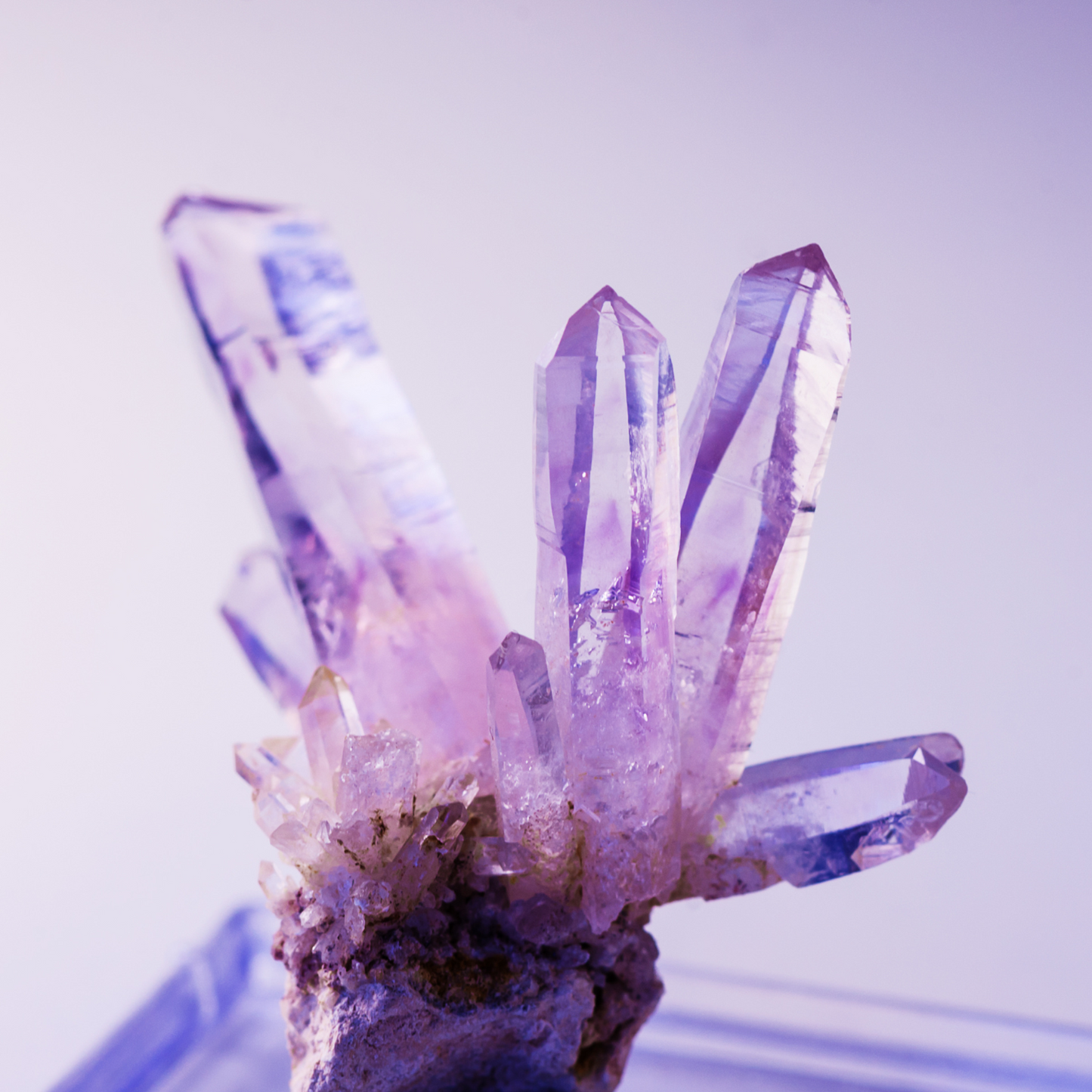 The Venusian Crystal Club